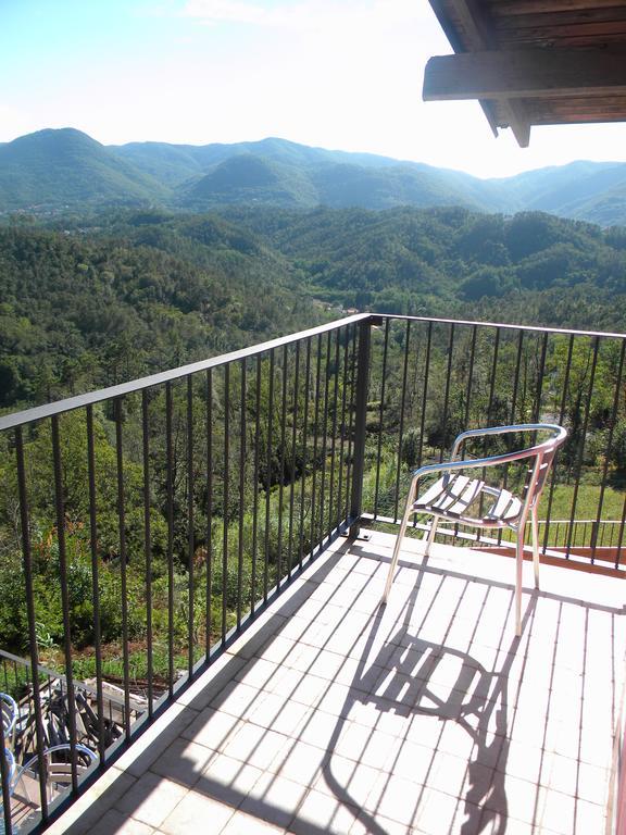 I Gelsi e i Castagni Villa Polverara Dış mekan fotoğraf