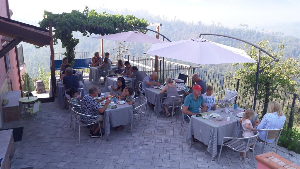 I Gelsi e i Castagni Villa Polverara Dış mekan fotoğraf