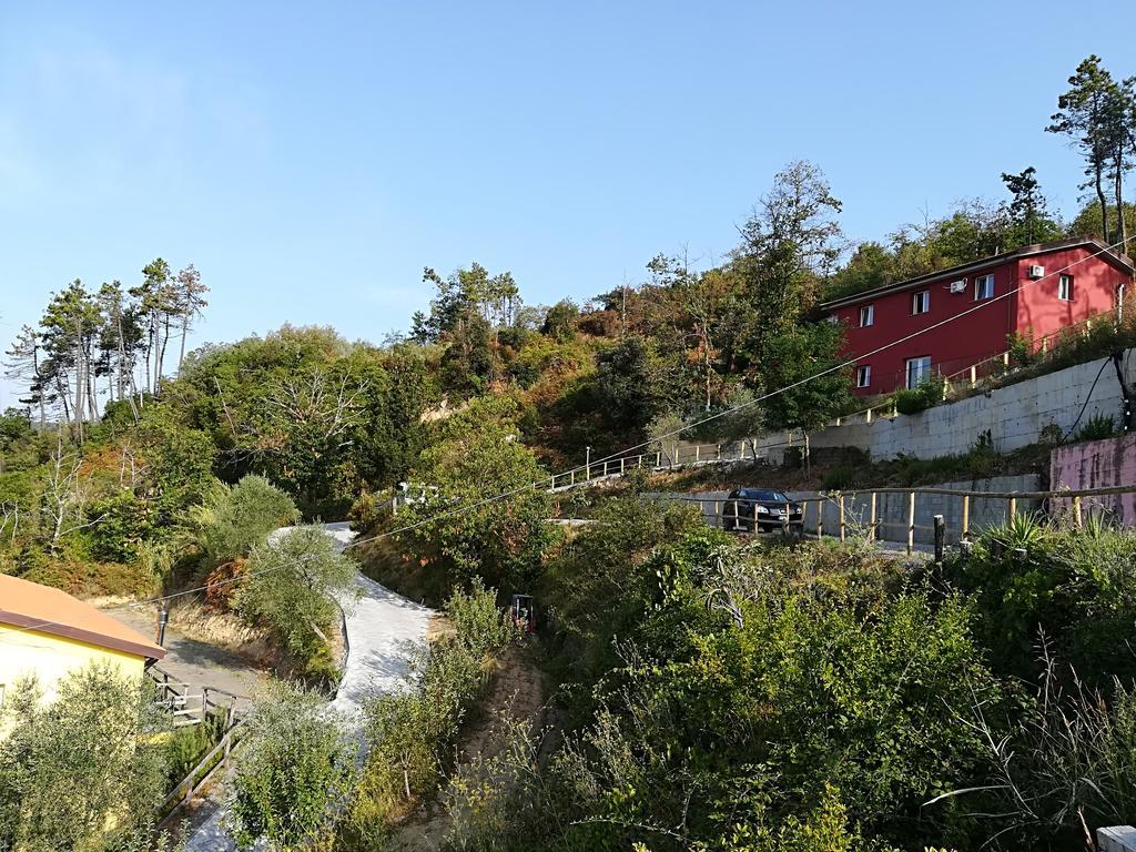 I Gelsi e i Castagni Villa Polverara Dış mekan fotoğraf